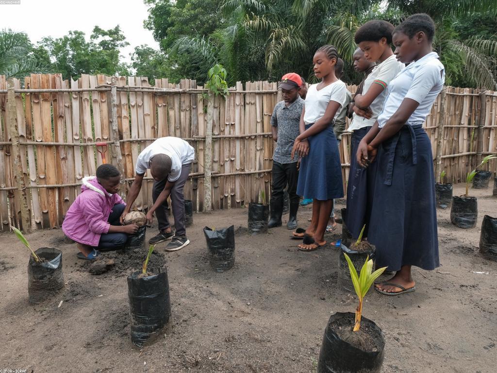 យុទ្ធសាស្ត្រលេង និងភាពសំខាន់របស់វា