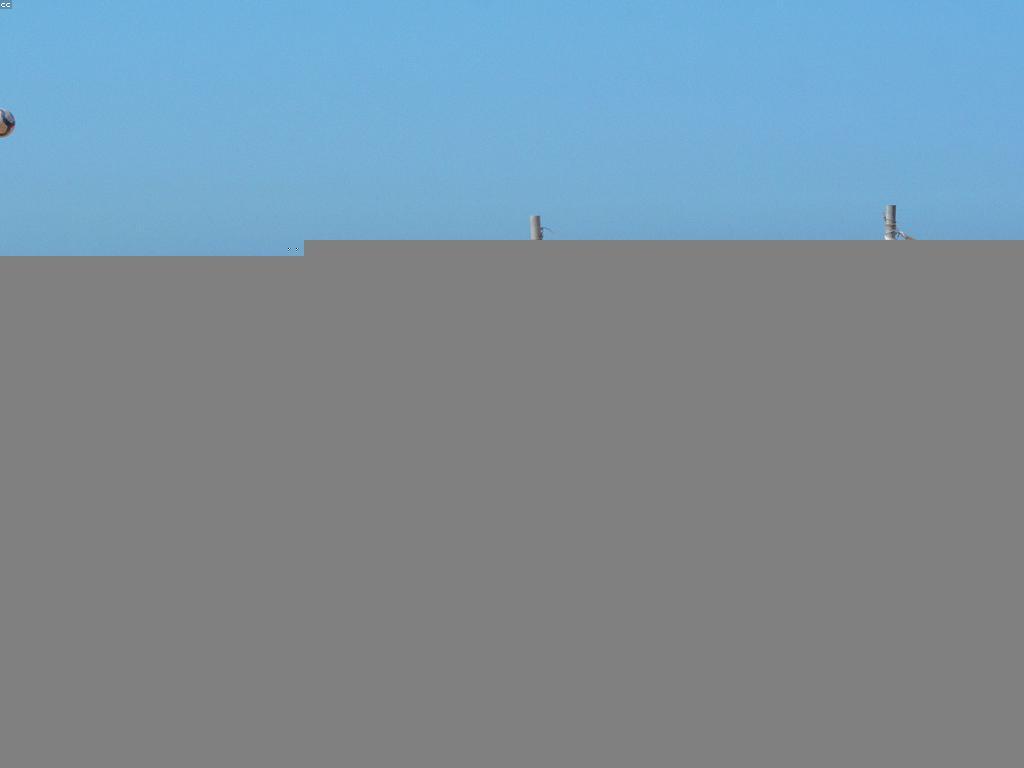 យុទ្ធសាស្ត្រលេង: ការសិក្សា និងការអនុវត្តន៍