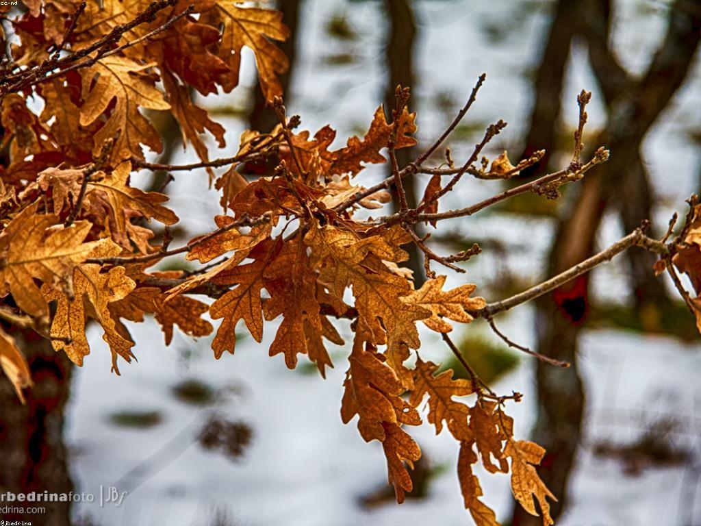 អ្នកឈ្នះនាពេលនេះ: វិធីសាស្រ្តដើម្បីសម្រេចបាននូវគោលបំណងជោគជ័យ