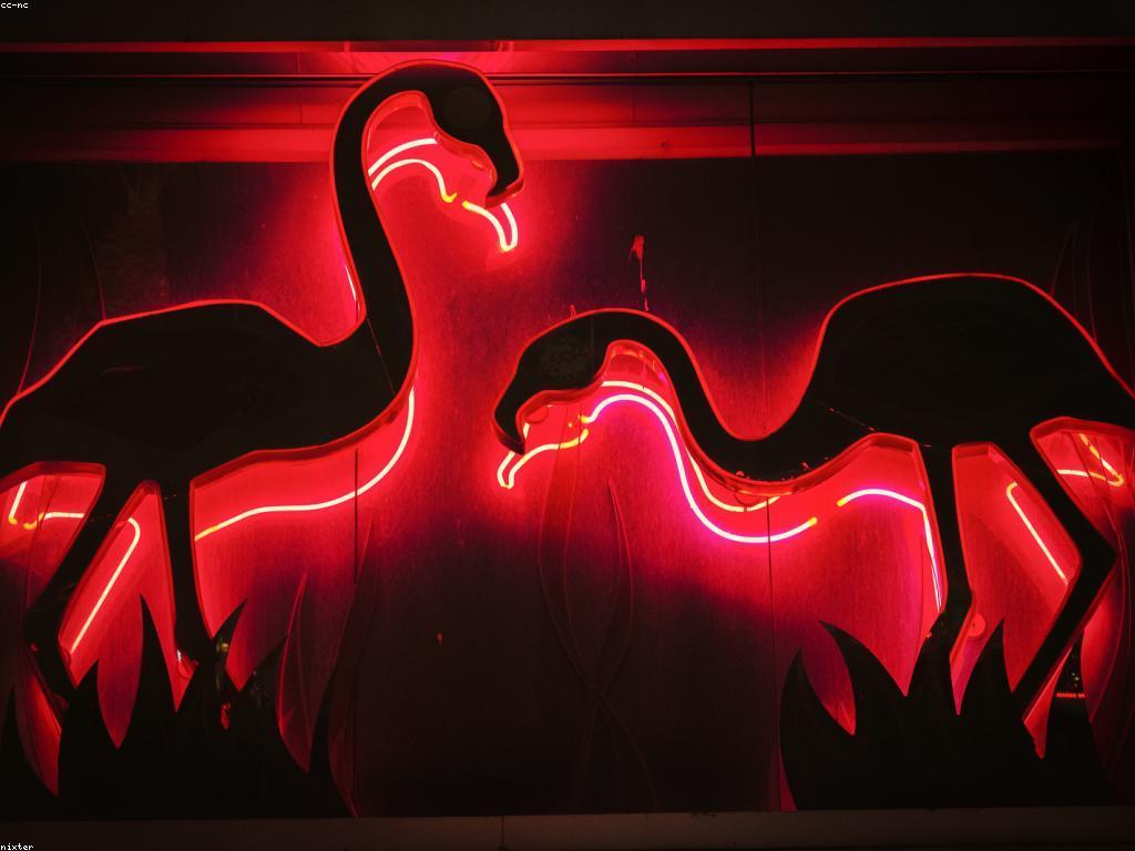 ដំណឹងនិងចំណេះដឹងអំពីកាស៊ីណូ