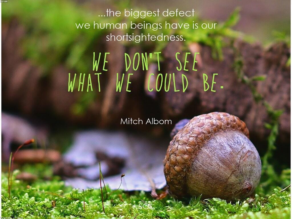 អ្នកឈ្នះនាពេលនេះ: របៀបកសាងជោគជ័យនៅក្នុងជីវិត